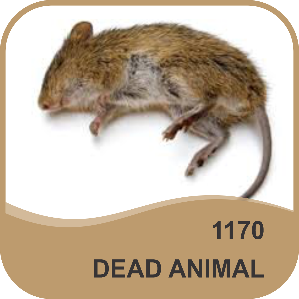 DEAD ANIMAL ODOR NEUTRALIZER